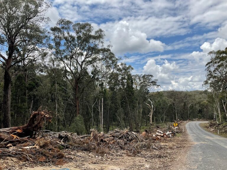 Arboricultural Impact Assessment