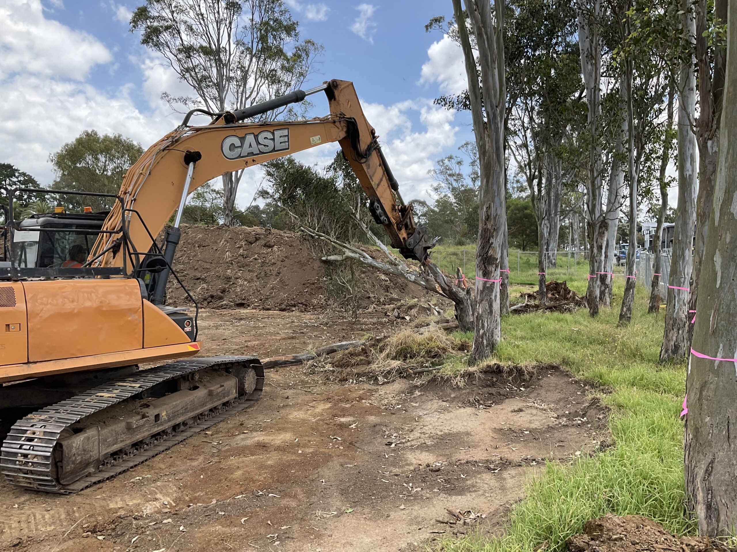 Project Ecologist for Vegetation Clearing work