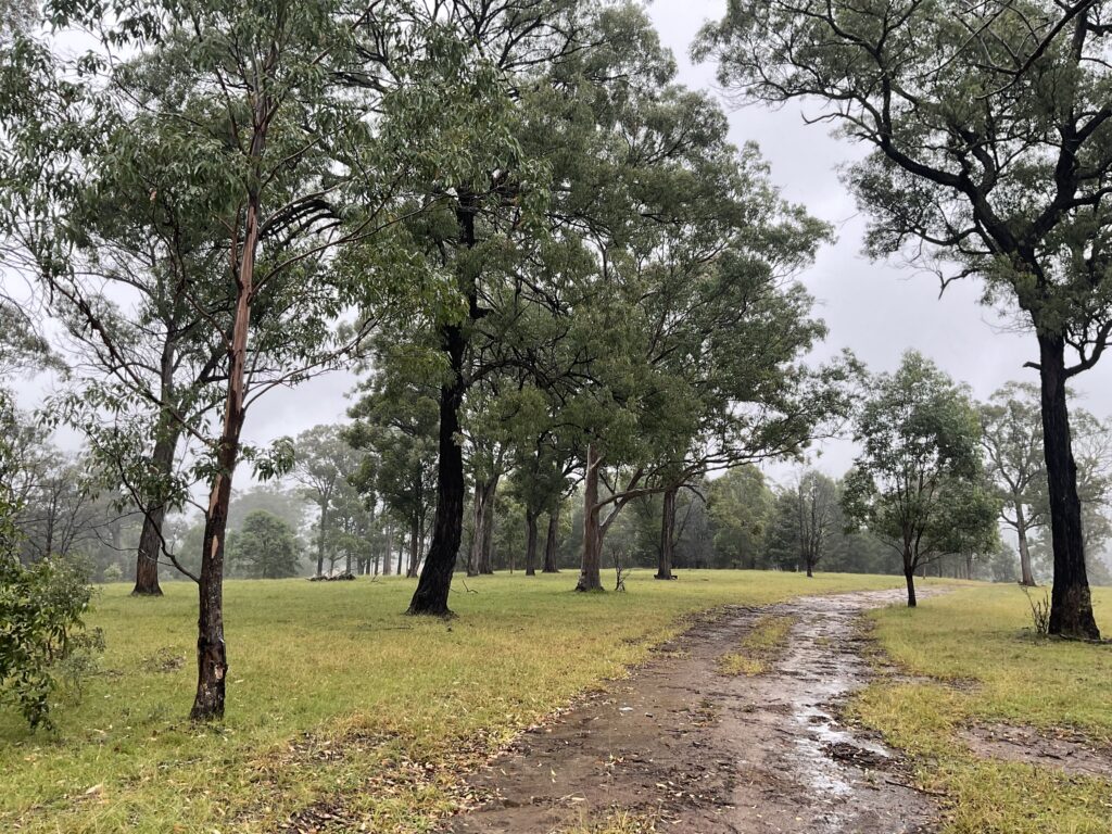 Biodiversity Assessment in Hawkesbury