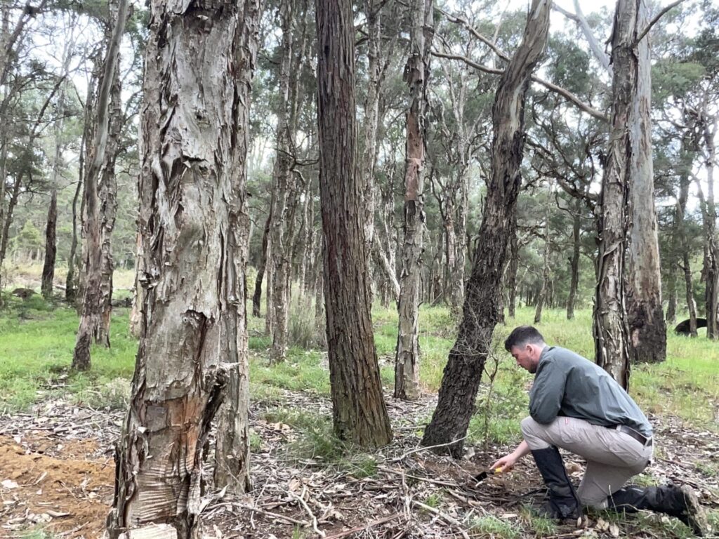 Biodiversity Impact Assessment in Schofields